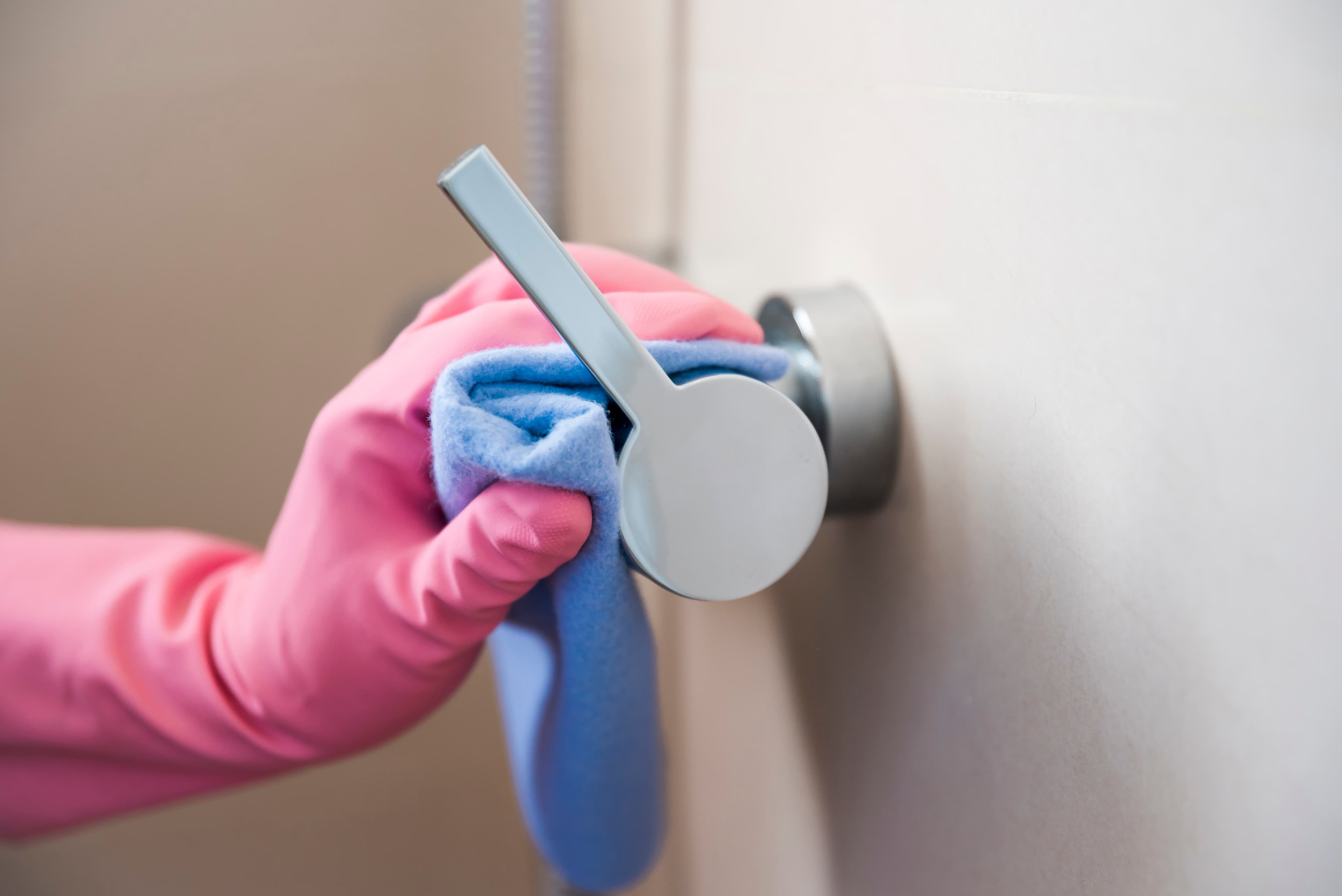 Galleria Bella Pulizia 2